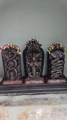 WhatsApp-Image-2025-11-21-at-12.15.03-PM