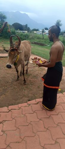 WhatsApp-Image-2025-11-23-at-7.35.04-PM-1