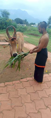 gopuja on 23-11-2025