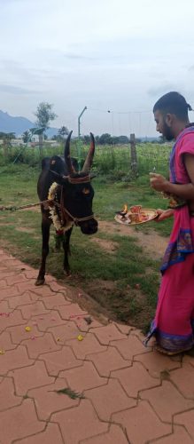 gopuja on 24-11-2025