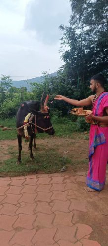 WhatsApp-Image-2025-11-24-at-4.40.02-PM