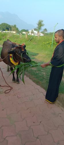 gopuja on 25-11-2025