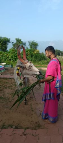 gopuja on 26-11-2025