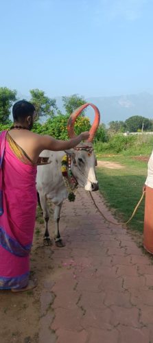 WhatsApp-Image-2025-11-26-at-4.22.46-PM