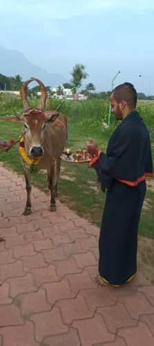 WhatsApp-Image-2025-11-27-at-4.27.55-PM