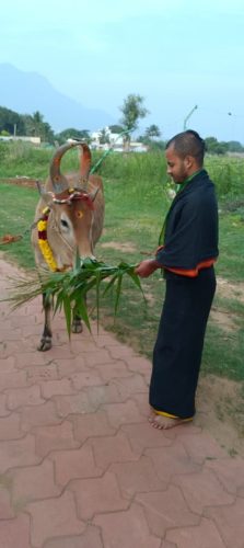 gopuja on 27-11-2025