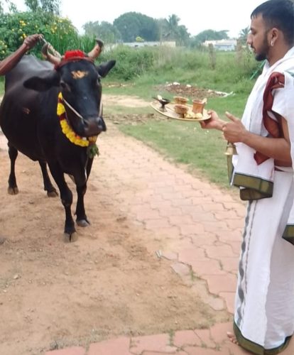 gopuja on 28-11-2025