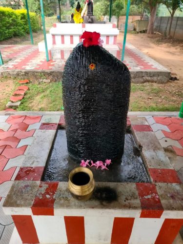 WhatsApp-Image-2025-11-29-at-11.26.42-AM-2