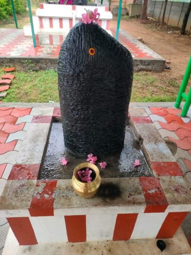 WhatsApp-Image-2025-11-30-at-2.00.05-PM