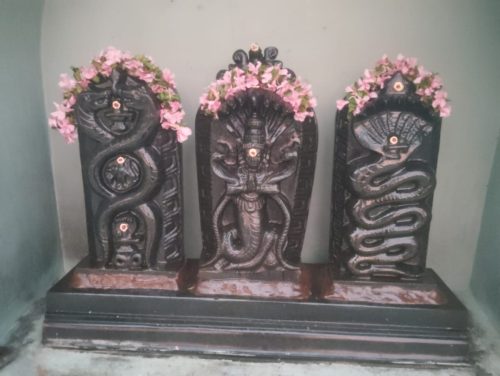 WhatsApp-Image-2025-11-30-at-7.34.19-PM