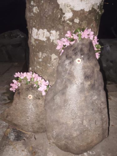 WhatsApp-Image-2025-11-30-at-7.34.20-PM