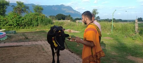 WhatsApp-Image-2025-12-02-at-4.42.56-PM-1