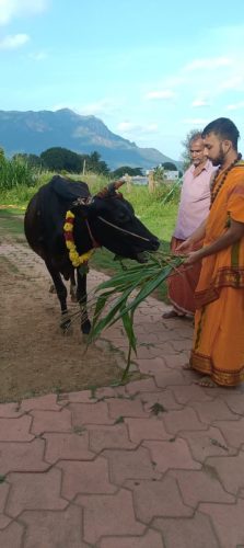 WhatsApp-Image-2025-12-02-at-4.42.56-PM