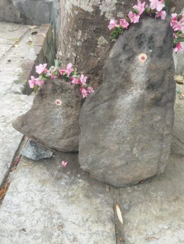 WhatsApp-Image-2025-12-03-at-11.37.31-AM-1