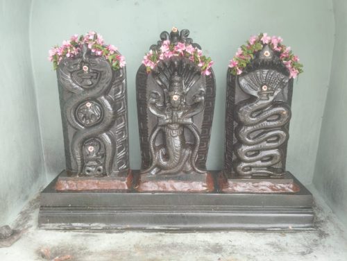 WhatsApp-Image-2025-12-03-at-11.37.33-AM-1