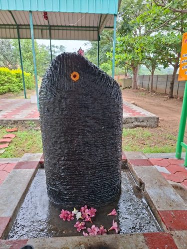 WhatsApp-Image-2025-12-04-at-10.27.08-AM-2