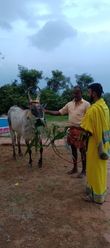 gopuja on 05-12-2025