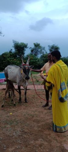 WhatsApp-Image-2025-12-05-at-8.41.19-PM