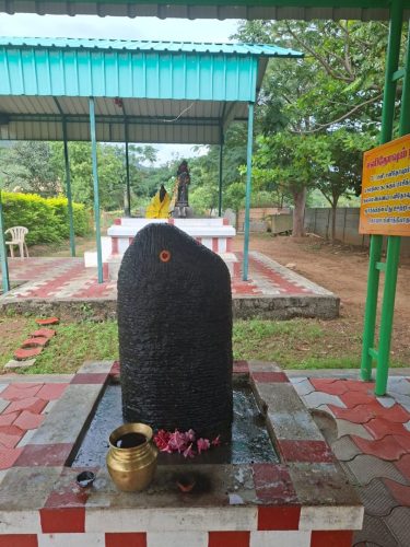 WhatsApp-Image-2025-12-05-at-8.52.40-AM-2