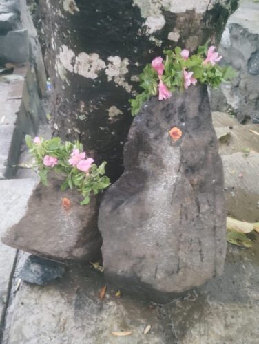 WhatsApp-Image-2025-12-06-at-9.37.54-AM