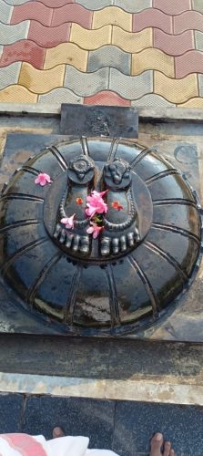 WhatsApp-Image-2025-12-11-at-10.05.44-AM-1