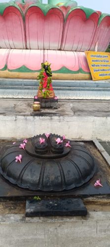 WhatsApp-Image-2025-12-13-at-10.37.36-AM-1