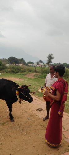 gopuja on 16-12-2025