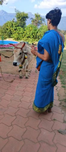 gopuja on 17-12-2025