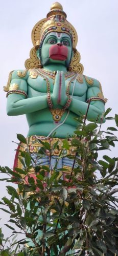 WhatsApp-Image-2025-12-19-at-1.23.48-PM-1