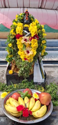 WhatsApp-Image-2025-12-19-at-1.23.49-PM-1