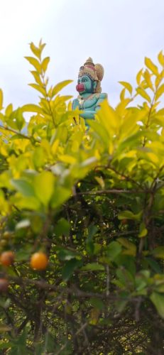 hanuman on 19-12-2025