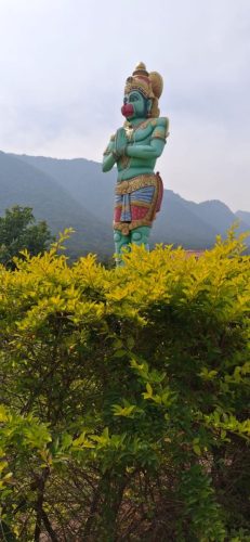 WhatsApp-Image-2025-12-19-at-1.23.50-PM