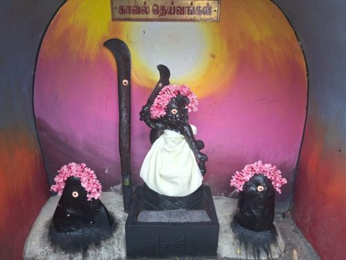 WhatsApp-Image-2025-12-20-at-11.42.58-AM-1