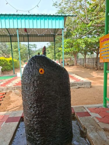 WhatsApp-Image-2025-12-20-at-11.43.40-AM-2