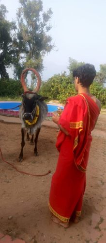 WhatsApp-Image-2025-12-20-at-4.26.21-PM