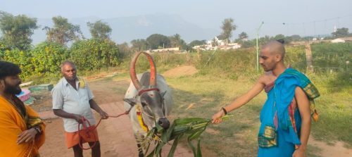 WhatsApp-Image-2025-12-21-at-4.25.39-PM