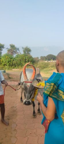 WhatsApp-Image-2025-12-21-at-4.25.40-PM