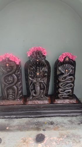 WhatsApp-Image-2025-12-22-at-12.56.45-PM