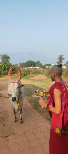 gopuja on 23-12-2025