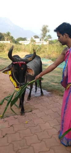 WhatsApp-Image-2025-12-23-at-4.47.32-PM-1