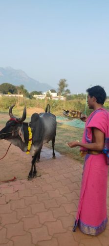 gopuja on 23-12-2025-2