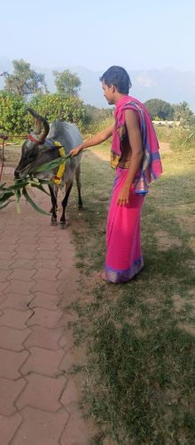 WhatsApp-Image-2025-12-24-at-4.30.24-PM