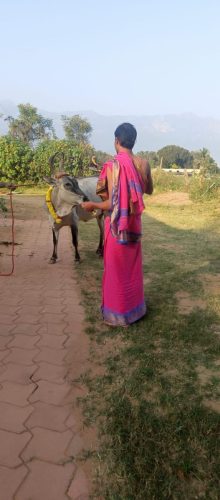 gopuja on 24-12-2025