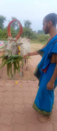 gopuja on 31-12-2025