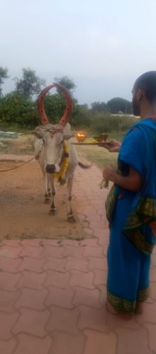 WhatsApp-Image-2025-12-31-at-5.05.47-PM