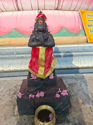 WhatsApp-Image-2026-01-05-at-10.36.32-AM