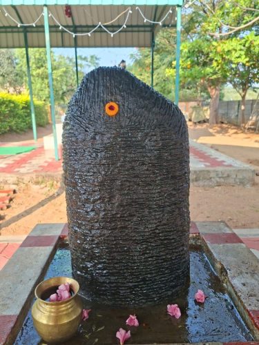 WhatsApp-Image-2026-01-05-at-10.36.34-AM-1