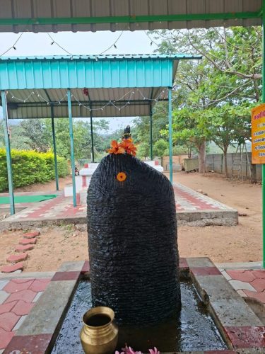 WhatsApp-Image-2026-01-06-at-10.28.27-AM-1