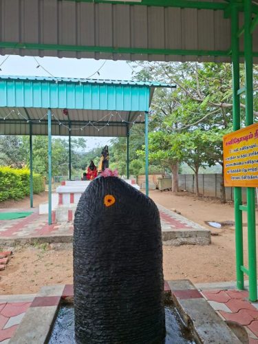 WhatsApp-Image-2026-01-07-at-12.57.08-PM