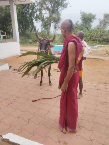 gopuja on 07-01-2026